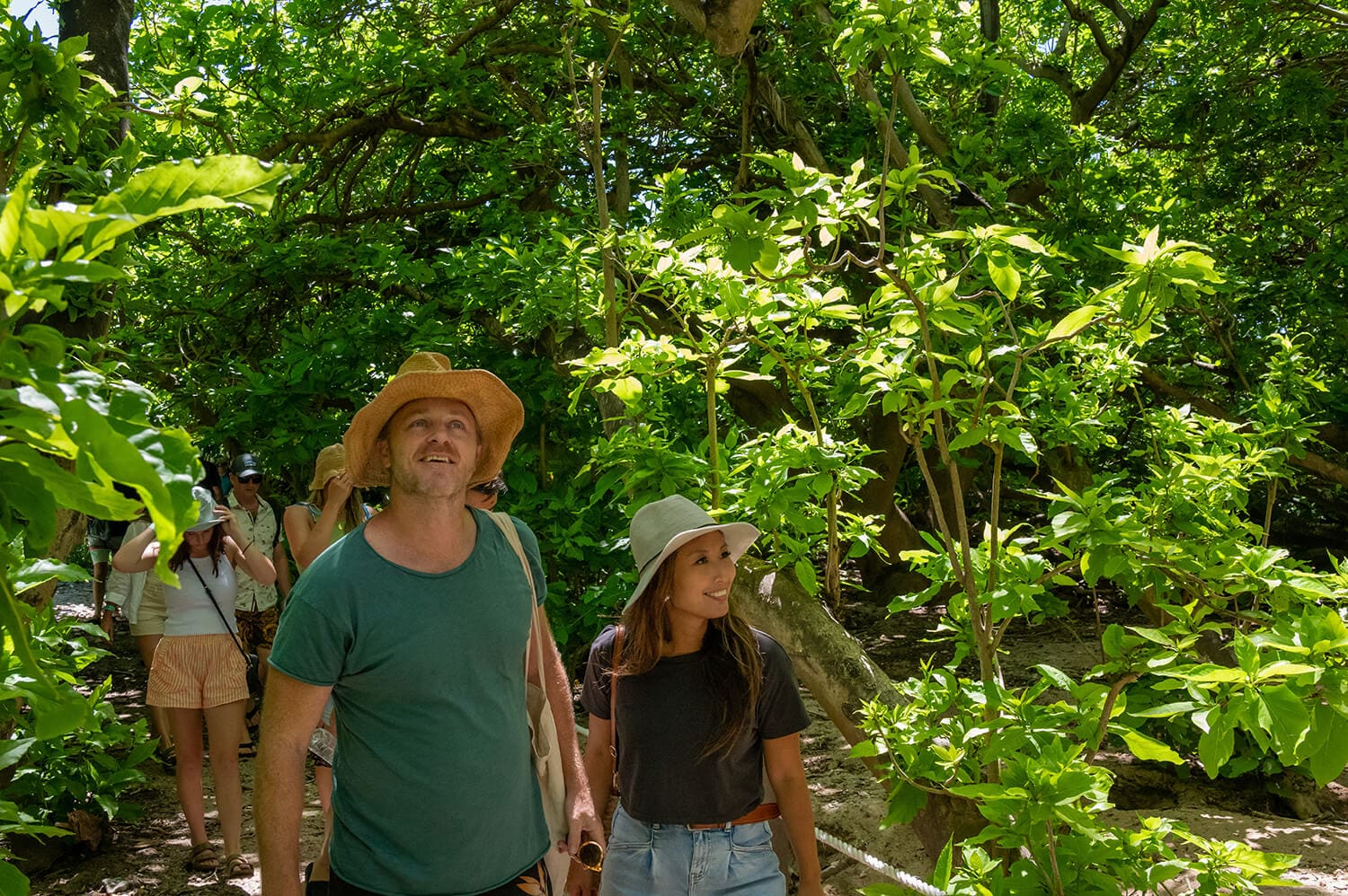 Guests on a guided walk across the coral cay
